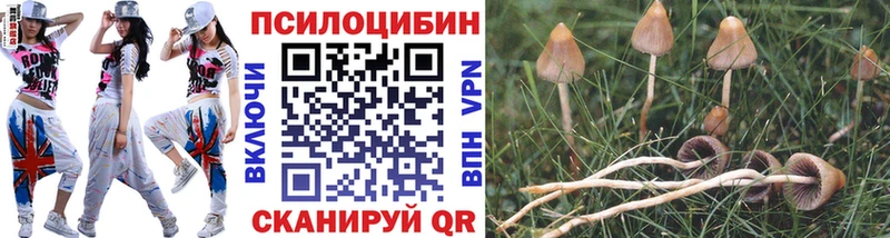 Галлюциногенные грибы Cubensis  Купить  Макарьев 